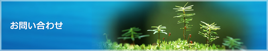 お問い合わせ